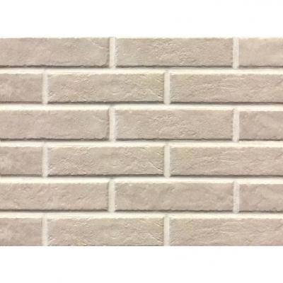Плитка Paradyz SCANDIANO BEIGE ELEWACJA 24,5X6,6 G1