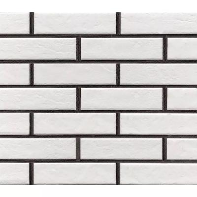 Плитка Paradyz SCANDIANO BIANCO ELEWACJA 24, 5X6, 6 G1