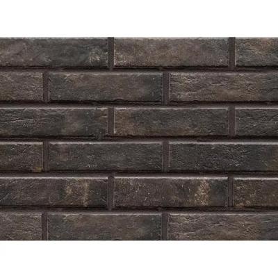 Плитка Paradyz SCANDIANO BROWN ELEWACJA 24,5X6,6 G1