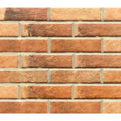 Плитка Paradyz SCANDIANO ROSSO ELEWACJA 24,5X6,6 G1