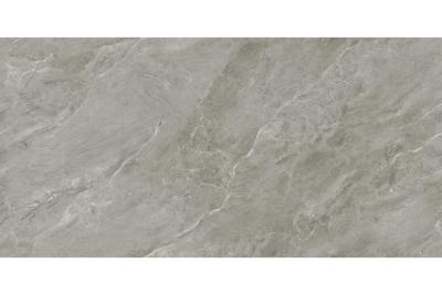 Керамогранит CERAMA MARKET SHOTAY DOVE CARVING 60х120