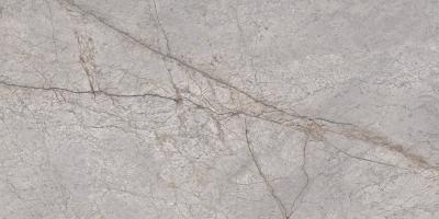 Плитка CERAMA MARKET SILVER RIVER 60х120