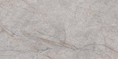 Плитка CERAMA MARKET SILVER RIVER 60х120