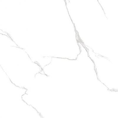 Плитка Raviraj Silver Statuario 60x60 polished