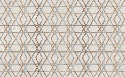Плитка Cersanit SOLANGE GEO 25x40 G1