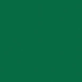 Спортивный линолеум Tarkett Omnisports V83 Field Green