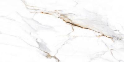 Плитка CERAMICA DESEO STATUARIO ETHNIC 60x120