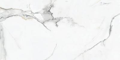 Плитка CERAMA MARKET STATUARIO VALCANO 60х120