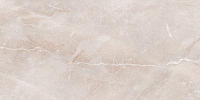 Плитка MEGAGRES Optex STONICO OYSTER GREY 60x120
