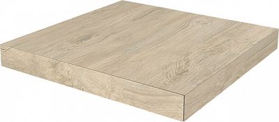 Ступень Kerama Marazzi Сальветти SG506500R GCS
