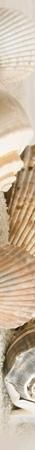 Фриз Golden Tile Summer Stone Holiday В41301