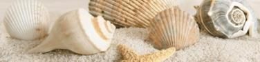 Декор Golden Tile Summer Stone Holiday В41351