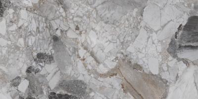 Плитка CERAMA MARKET SUPERCEPPO GREY 60х120