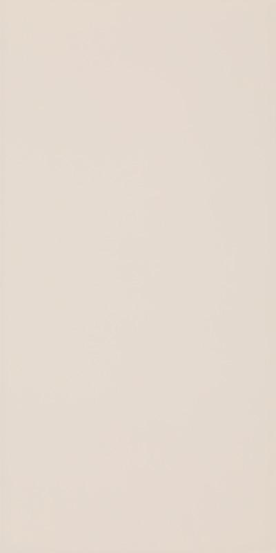 Декор Paradyz SYNERGY BIANCO INSERTO 30X60 G1