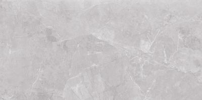 Плитка Opoczno TENEZA LIGHT GREY GLOSSY 29, 7x60 G1