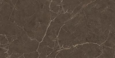Плитка CERAMICA DESEO VENICE MARRONE EC729 60x120