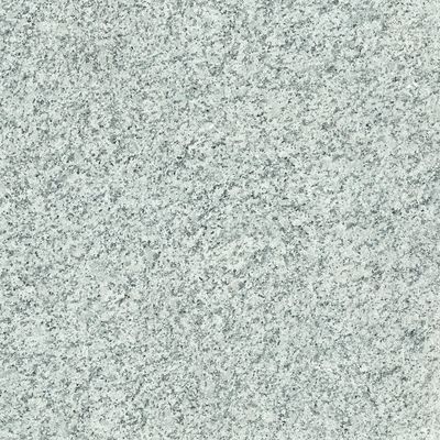 Плитка Zeus Ceramica BIANCO SARDO (X60AY0R)