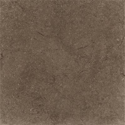 Плитка Zeus Ceramica BROWN (X60NF6R)