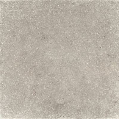 Плитка Zeus Ceramica GREY (X60NF8R)
