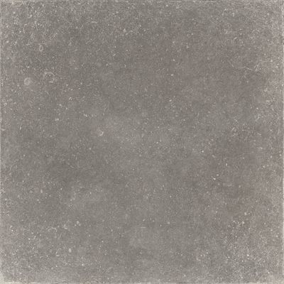 Плитка Zeus Ceramica GRIS (X60PZ8R)