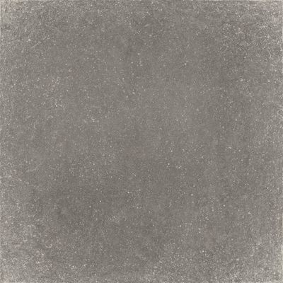 Плитка Zeus Ceramica GRIS (X60PZ8R)