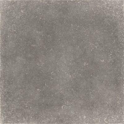 Плитка Zeus Ceramica GRIS (X60PZ8R)