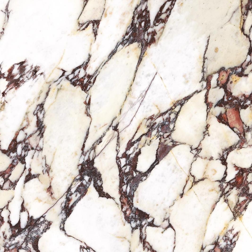 Плитка CALACATTA VIOLA NATURAL 120x120