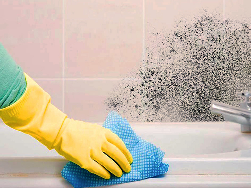 Как удалить грибок с кафельной плитки