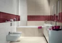 Декор RAKO BLEND bordo WITVE810 20x60 зображення 1