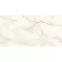 Плитка STN CERAMICA THUILE VENATO NATURAL 60х120 изображение 1