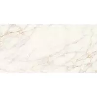 Плитка STN CERAMICA THUILE VENATO NATURAL 60х120 изображение 2