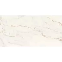 Плитка STN CERAMICA THUILE VENATO NATURAL 60х120 изображение 7