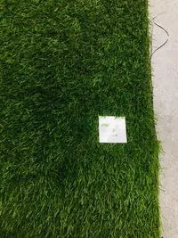 Искусственная трава Condor Grass Phoenix 25/13st. изображение 3