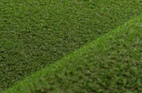 Искусственная трава Betap TERRAZA изображение 1