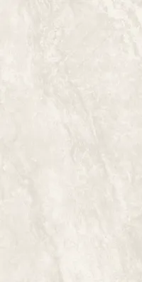 Плитка Teo Ceramics Ivorica Beige F P 60x120 R Sumat изображение 1