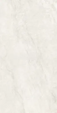Плитка Teo Ceramics Ivorica White F P 60x120 R Sumat изображение 1
