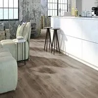 Водостойкий ламинат Classen Legend 4V WR Дуб Данді 54781 изображение 1