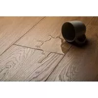 Ламінат Kronopol Fiori Aqua Zero Дуб Dalia 4589 зображення 1