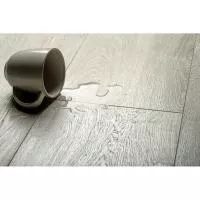 Ламинат Kronopol Fiori Aqua Zero Дуб Orchidea 4586 изображение 1