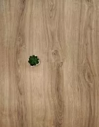 Ламінат Kronopol Parfe Floor Дуб Соренто 3689 зображення 2