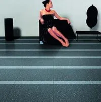 LJH6009 зображення 2