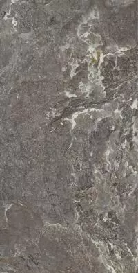 Плитка Allore Group Snake stone Bronze 120x60 Mat изображение 1