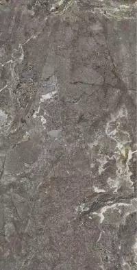 Плитка Allore Group Snake stone Bronze 120x60 Mat изображение 2