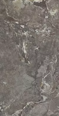 Плитка Allore Group Snake stone Bronze 120x60 Mat изображение 4