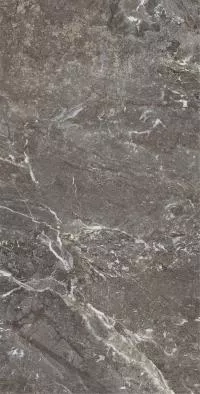 Плитка Allore Group Snake stone Bronze 120x60 Mat изображение 5