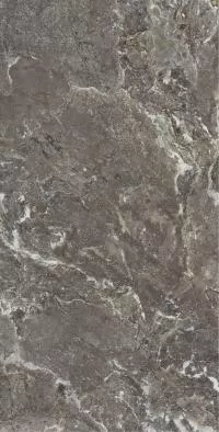 Плитка Allore Group Snake stone Bronze 120x60 Mat изображение 7