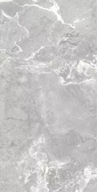 Плитка Allore Group Snake stone Silver 120x60 Mat изображение 1
