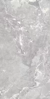Плитка Allore Group Snake stone Silver 120x60 Mat изображение 2