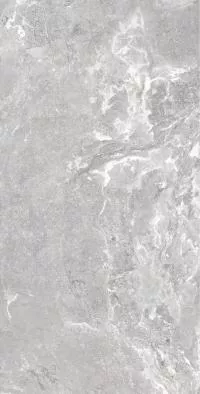 Плитка Allore Group Snake stone Silver 120x60 Mat изображение 3