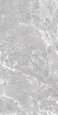 Плитка Allore Group Snake stone Silver 120x60 Mat изображение 7